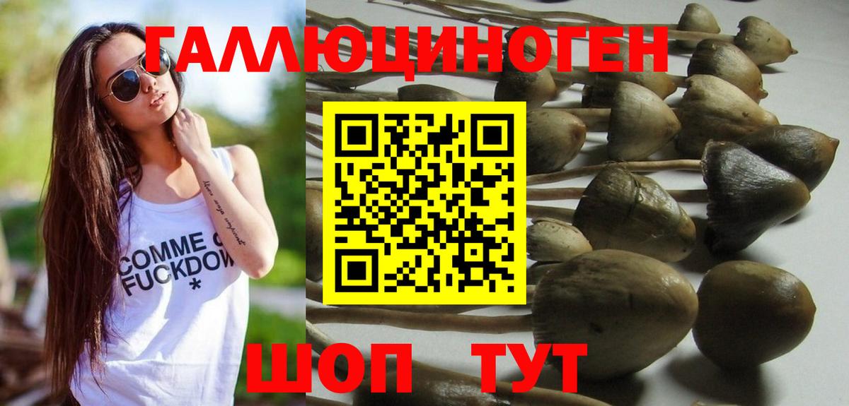 Георгиевск  Галлюциногенные грибы Psilocybine cubensis  Галлюциногенные грибы Magic Shrooms  Вход с VPN 